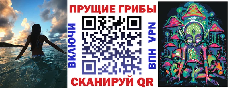 Галлюциногенные грибы GOLDEN TEACHER  Купить где  Татарск 
