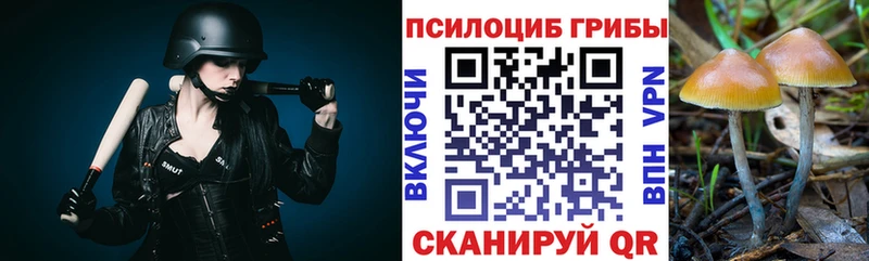Галлюциногенные грибы Psilocybe Татарск